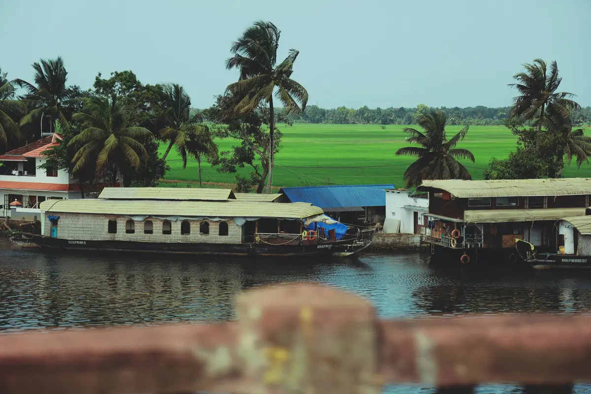 Kerala Express: Munnar & Alleppey houseboat: Munnar