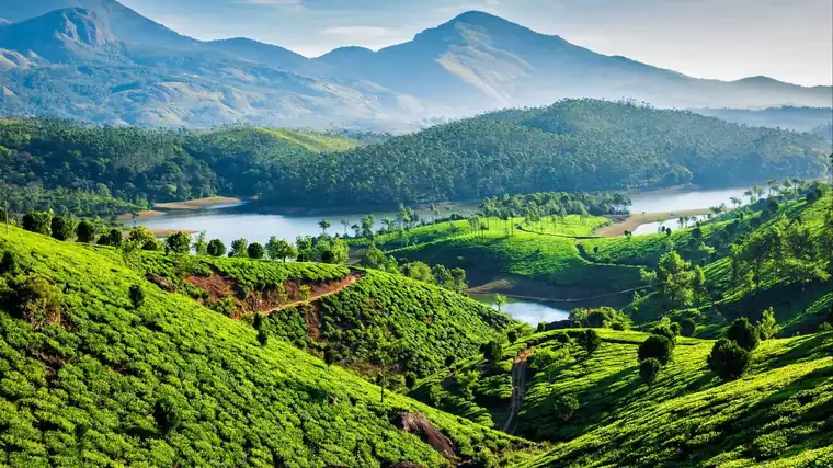 Munnar tea plantations on the Kerala Express tour