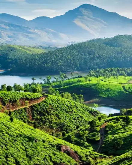 Tea plantations and lake in the hills of Munnar
